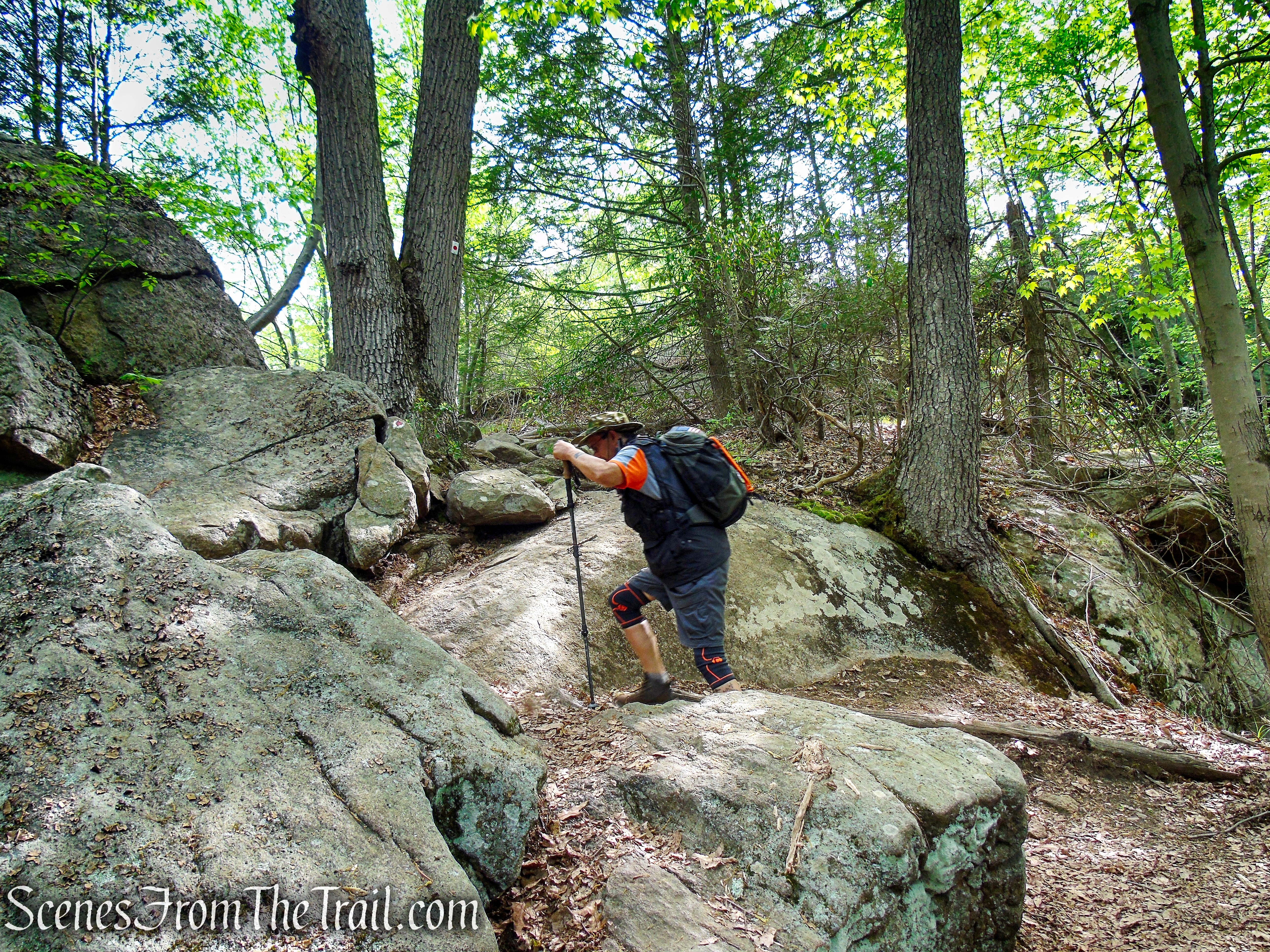 Ramapo-Dunderberg Trail - Black Rock Mountain