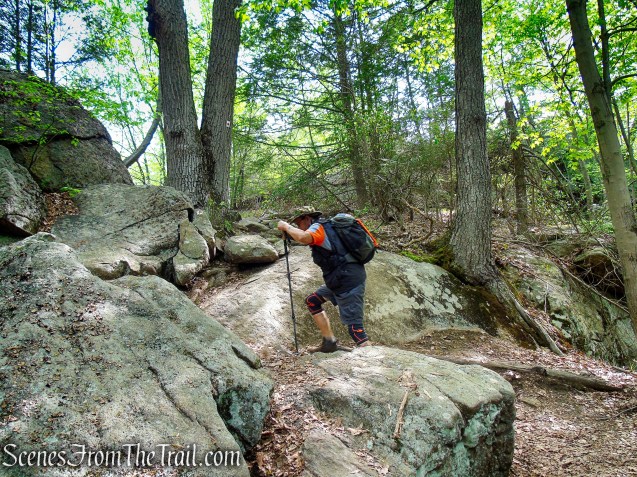 Ramapo-Dunderberg Trail - Black Rock Mountain