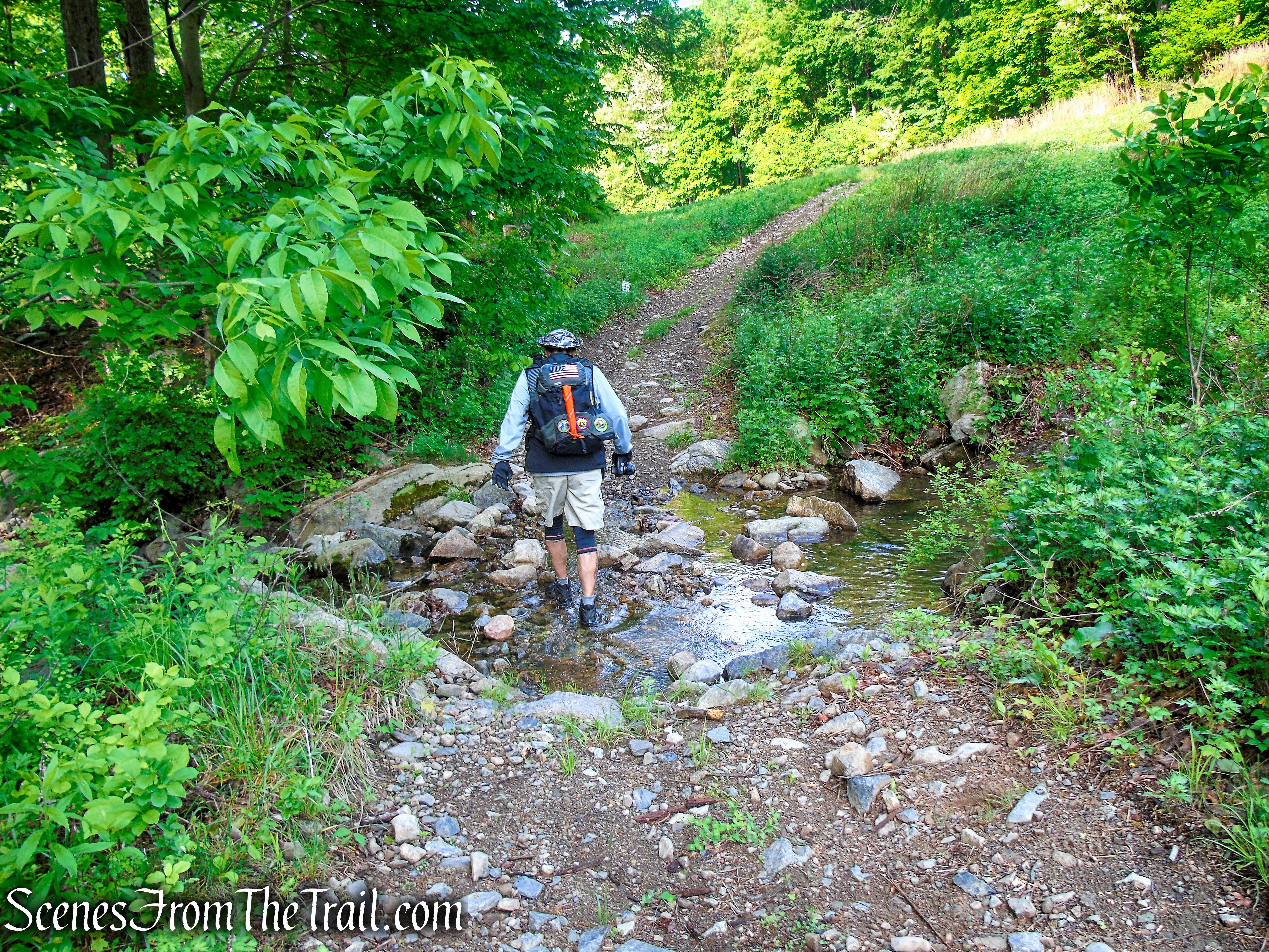 Sherwood Path - Harriman State Park