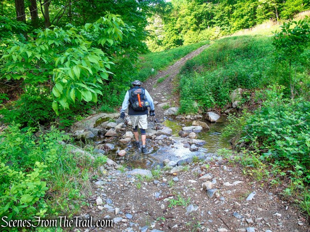 Sherwood Path - Harriman State Park