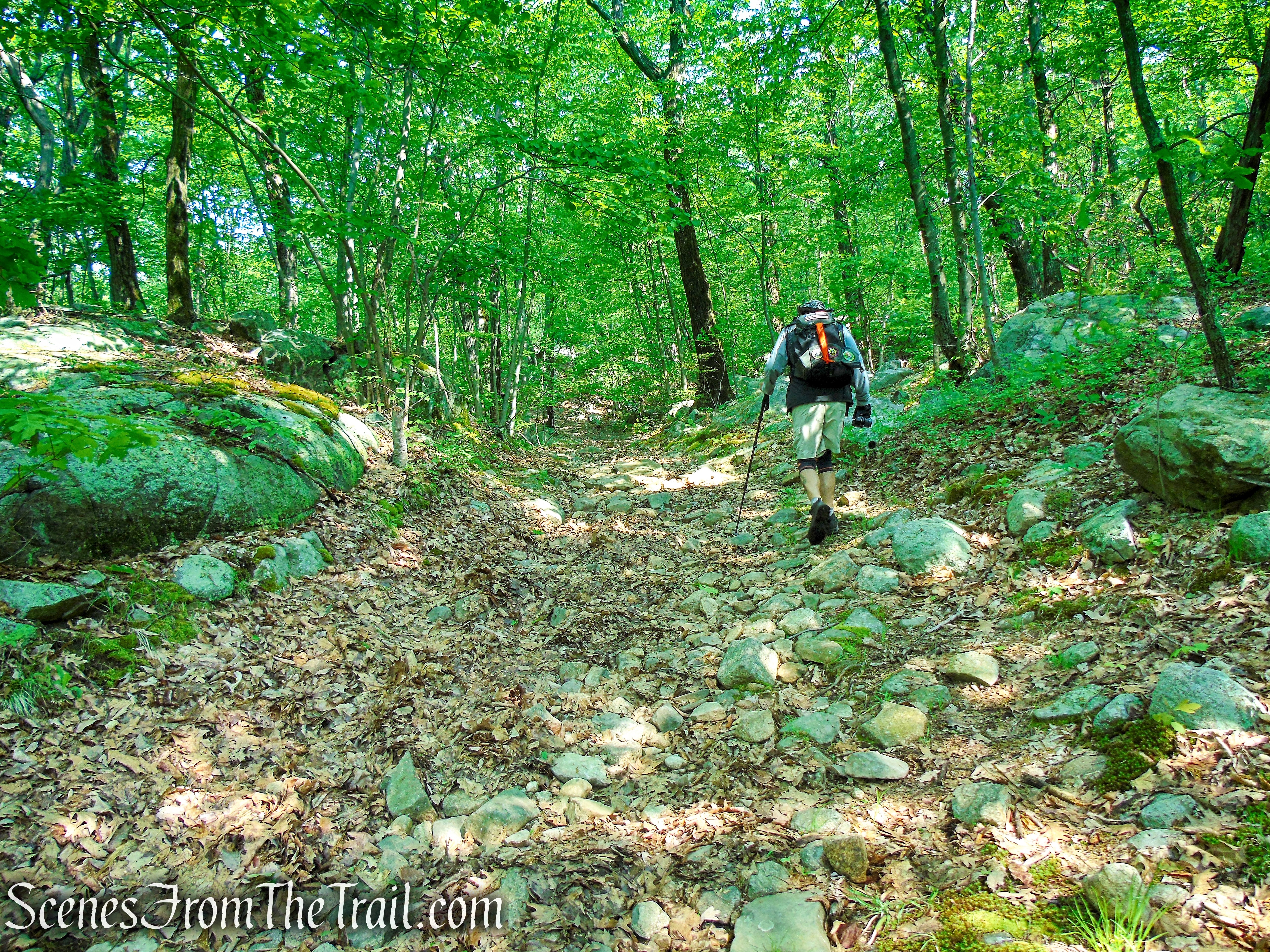 Sherwood Path - Harriman State Park