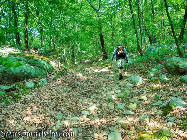 Sherwood Path - Harriman State Park