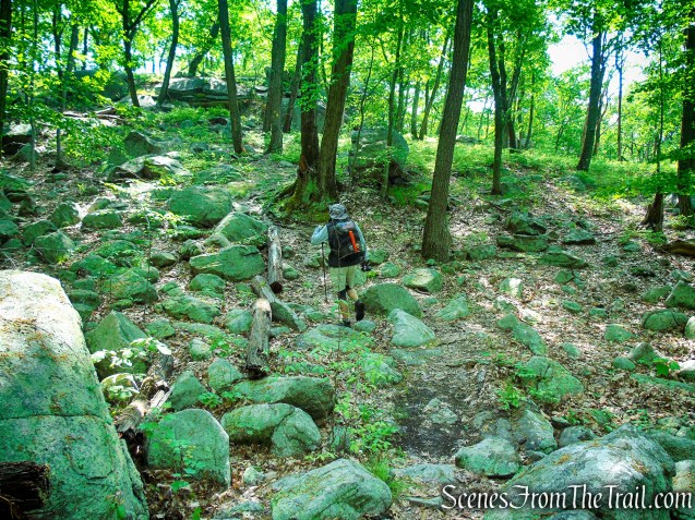 Suffern-Bear Mountain Trail - Harriman State Park