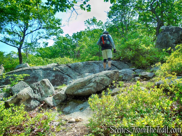Suffern-Bear Mountain Trail - Harriman State Park