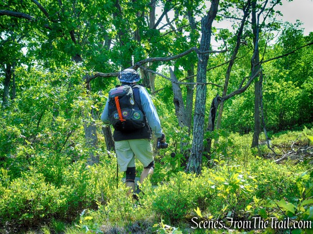 Suffern-Bear Mountain Trail - Harriman State Park