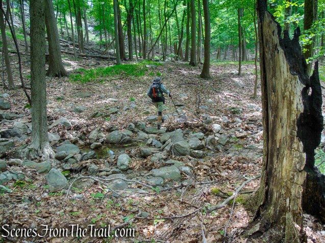 Pittsboro Trail - Harriman State Park