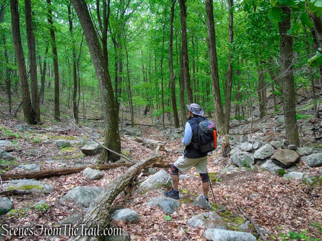 Stone Memorial Loop via Sherwood Path – Harriman State Park