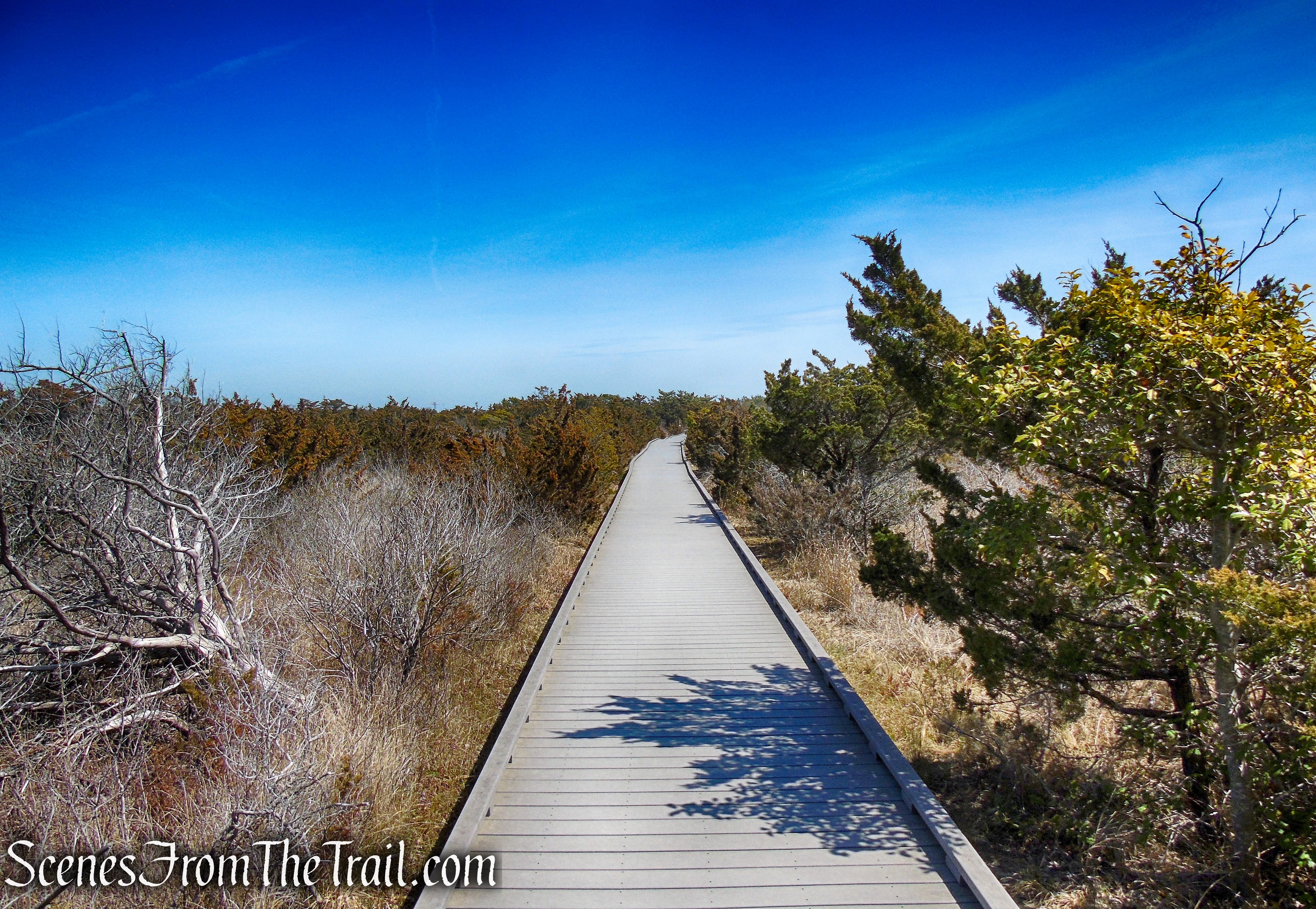 Nature Trail - Fire Island National Seashore