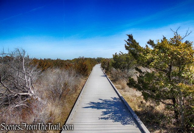 Nature Trail - Fire Island National Seashore