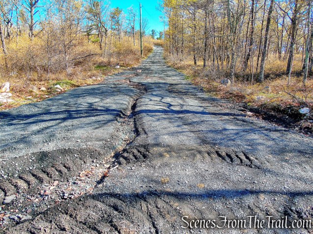 Fire Tower Road - Roosa Gap State Forest