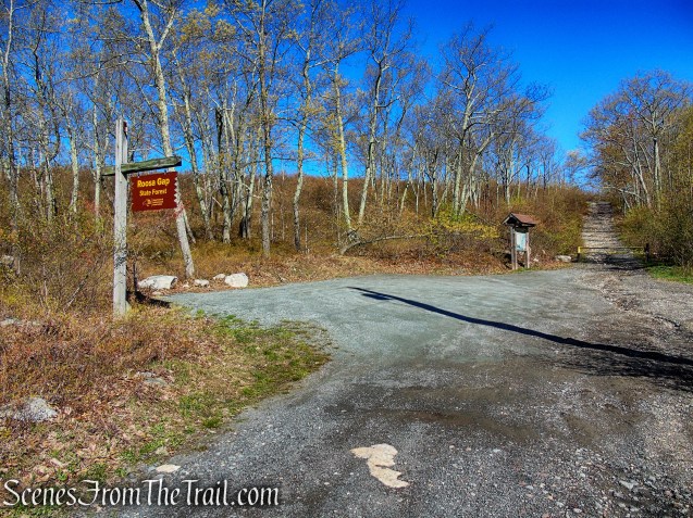 Fire Tower Road Trailhead - Roosa Gap State Forest