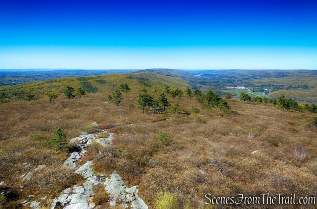 Looking south towards Wurtsboro Ridge State Forest from the Roosa Gap Fire Tower