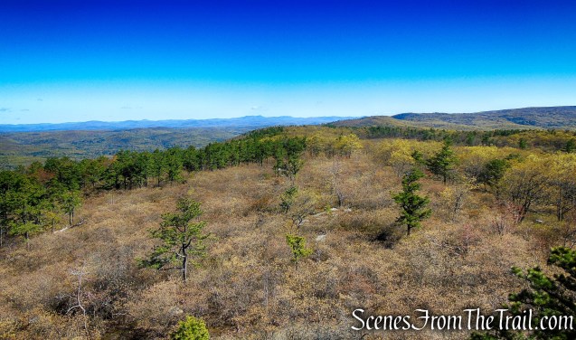 Looking northwest towards the Catskills from the Roosa Gap Fire Tower