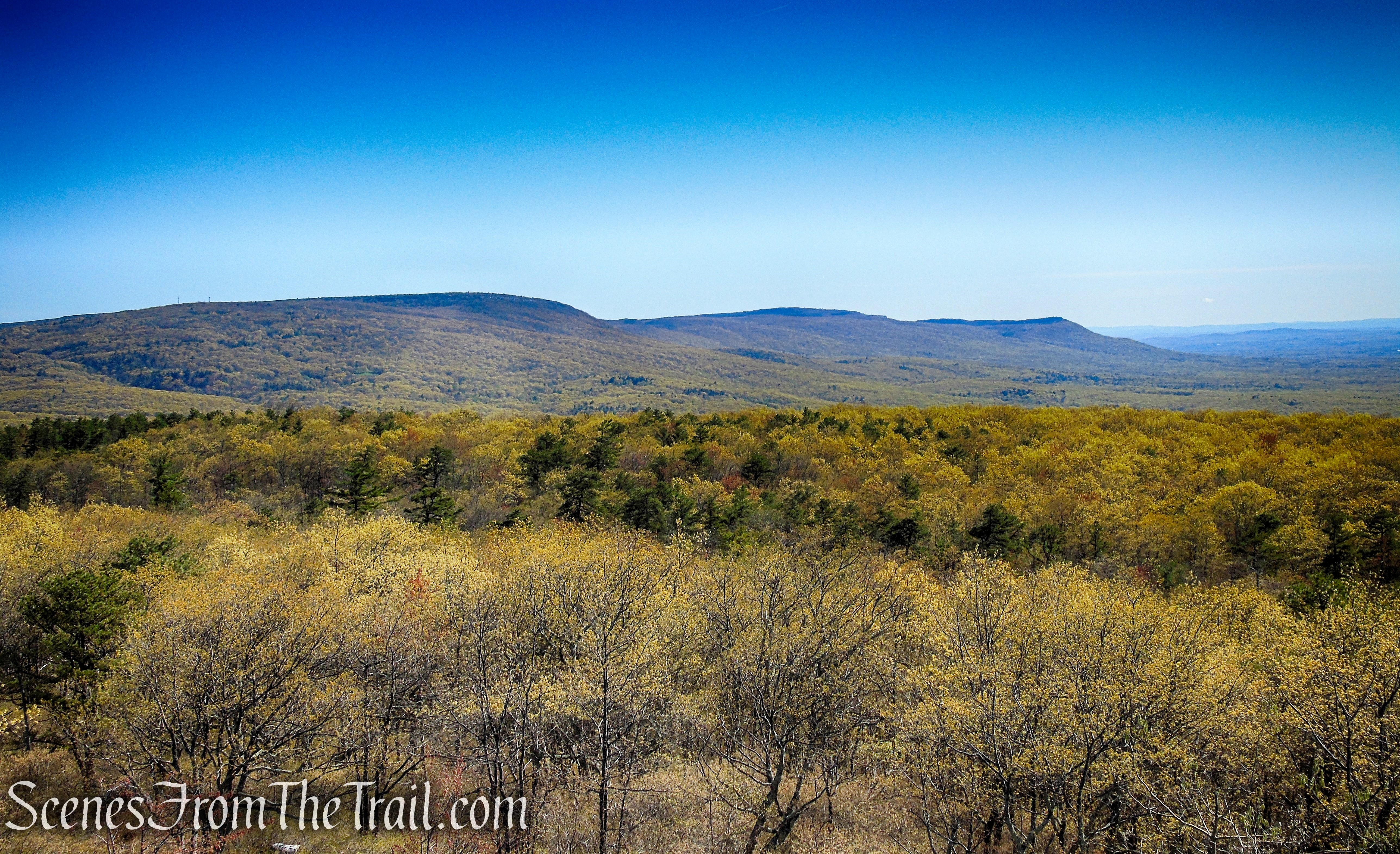Looking northeast towards Sam's Point and Minnewaska State Park from the Roosa Gap Fire Tower