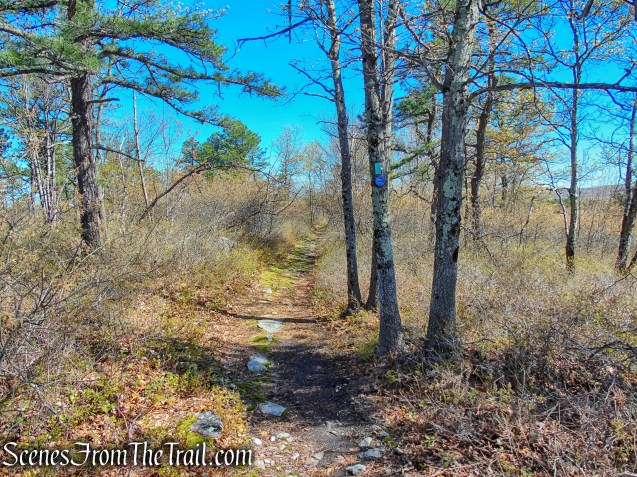 Coaligned SRT/Long Path