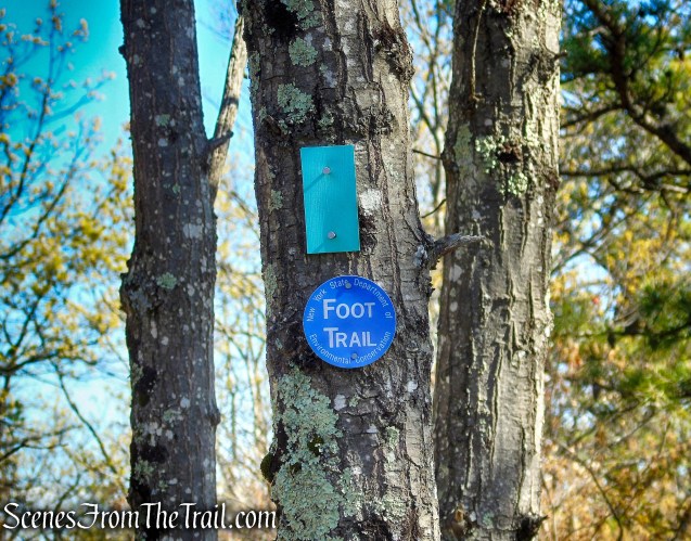 Coaligned SRT/Long Path