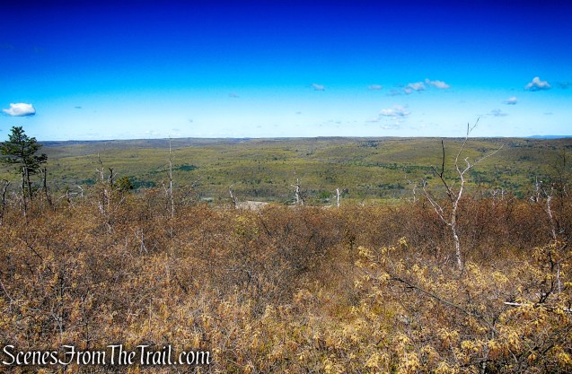 Coaligned SRT/Long Path - Roosa Gap State Forest
