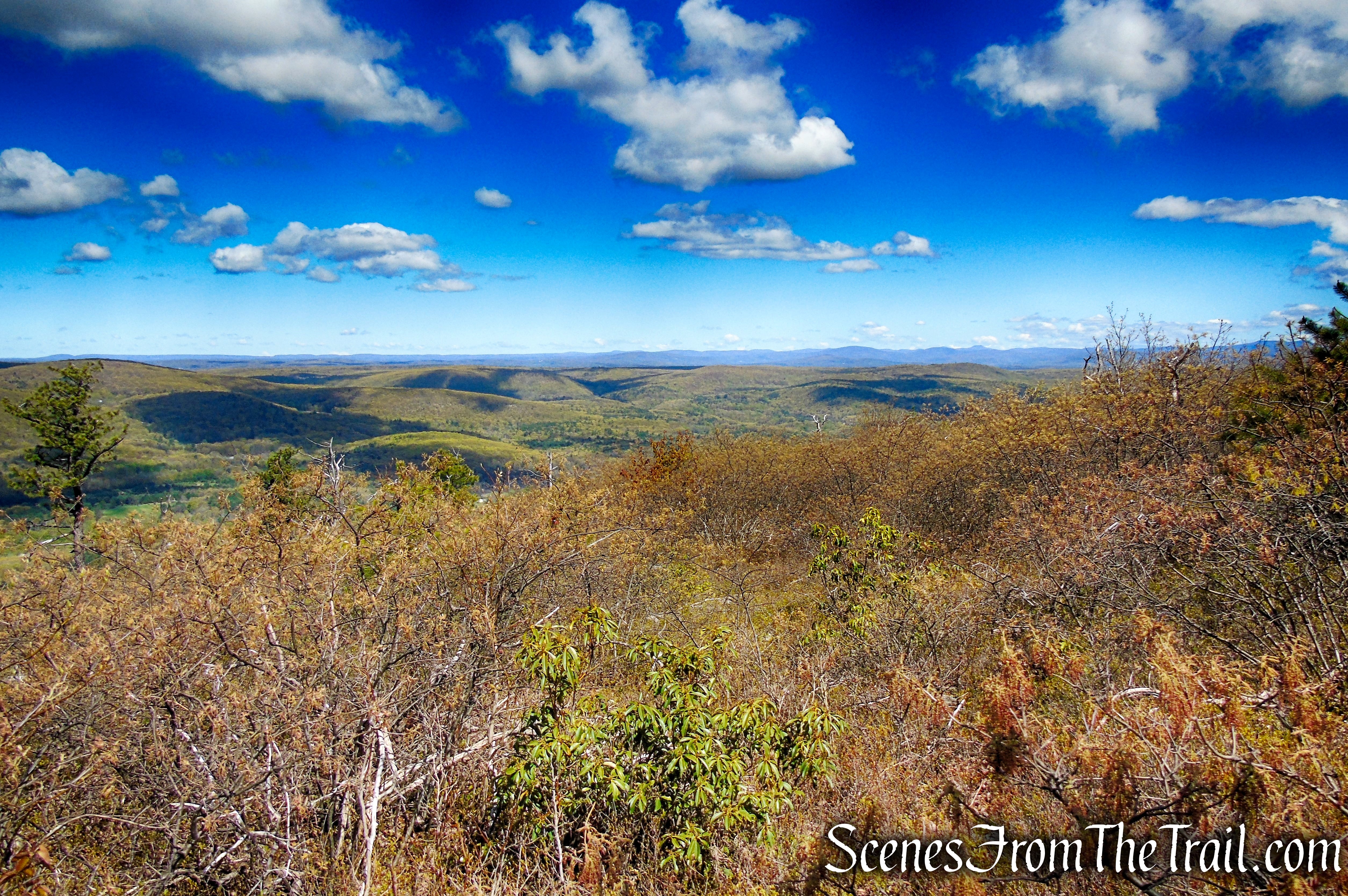 Coaligned SRT/Long Path - Roosa Gap State Forest