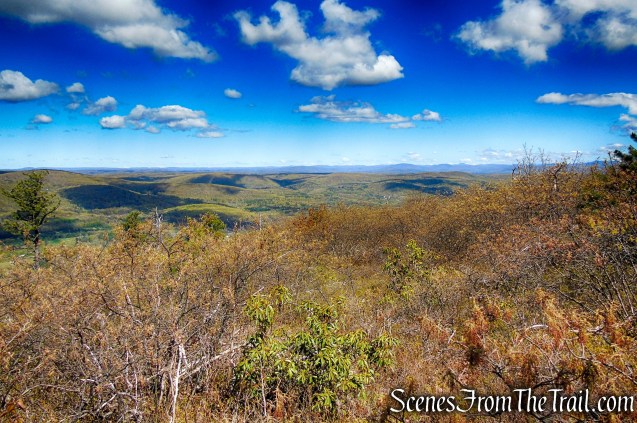 Coaligned SRT/Long Path - Roosa Gap State Forest