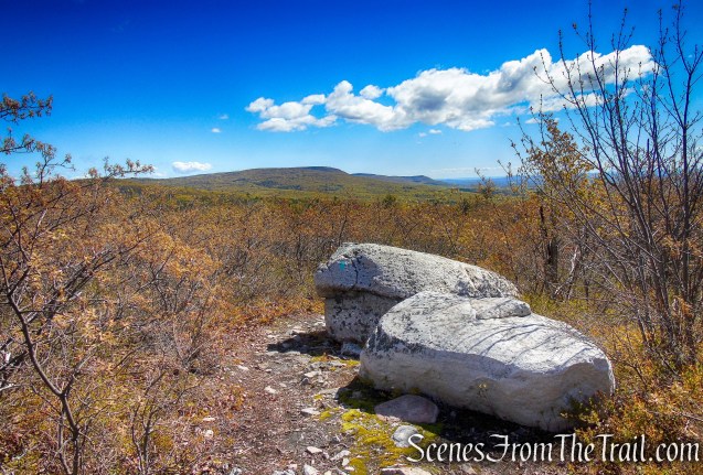Coaligned SRT/Long Path - Roosa Gap State Forest