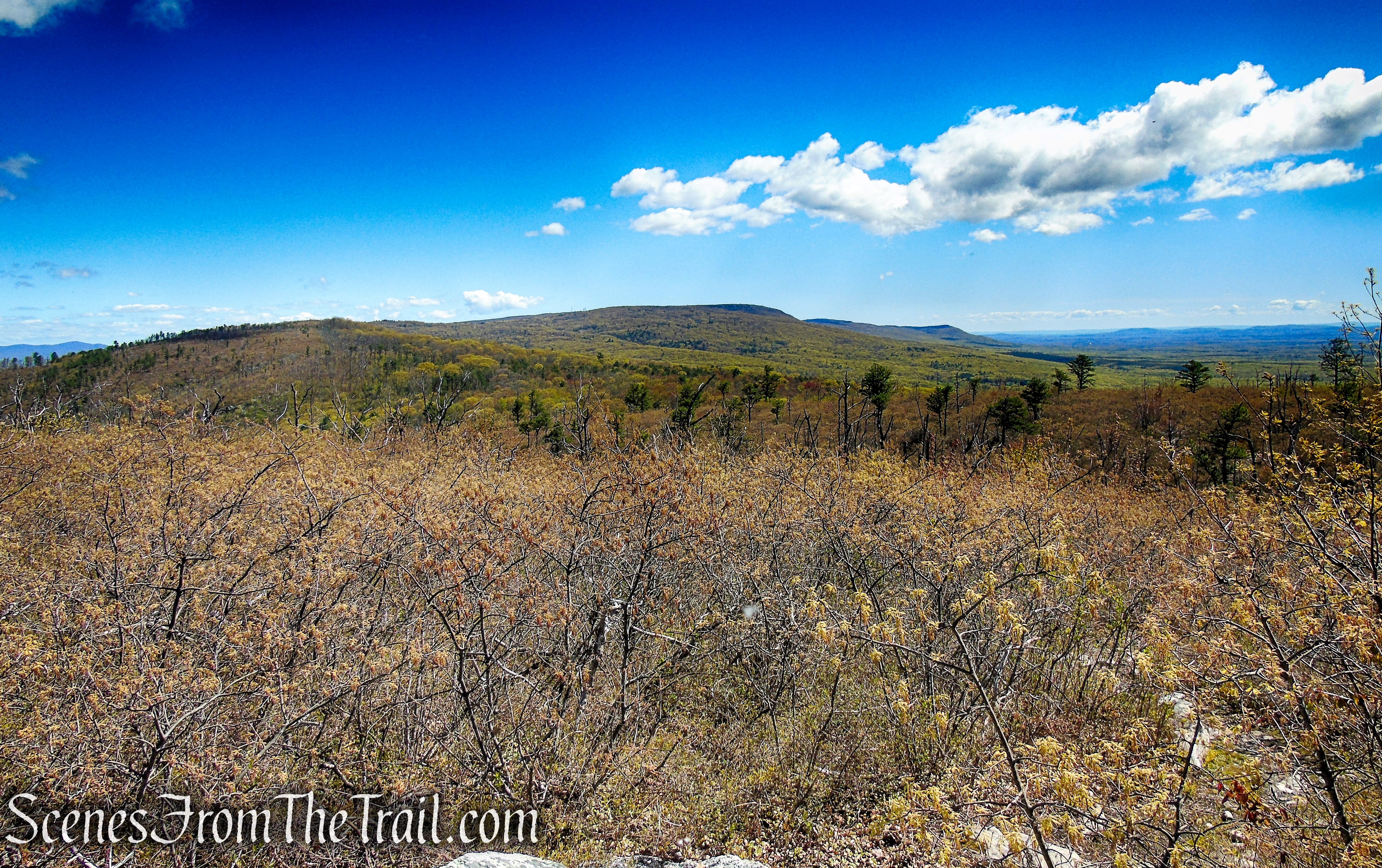 Looking northeast towards Sam's Point and Minnewaska State Park