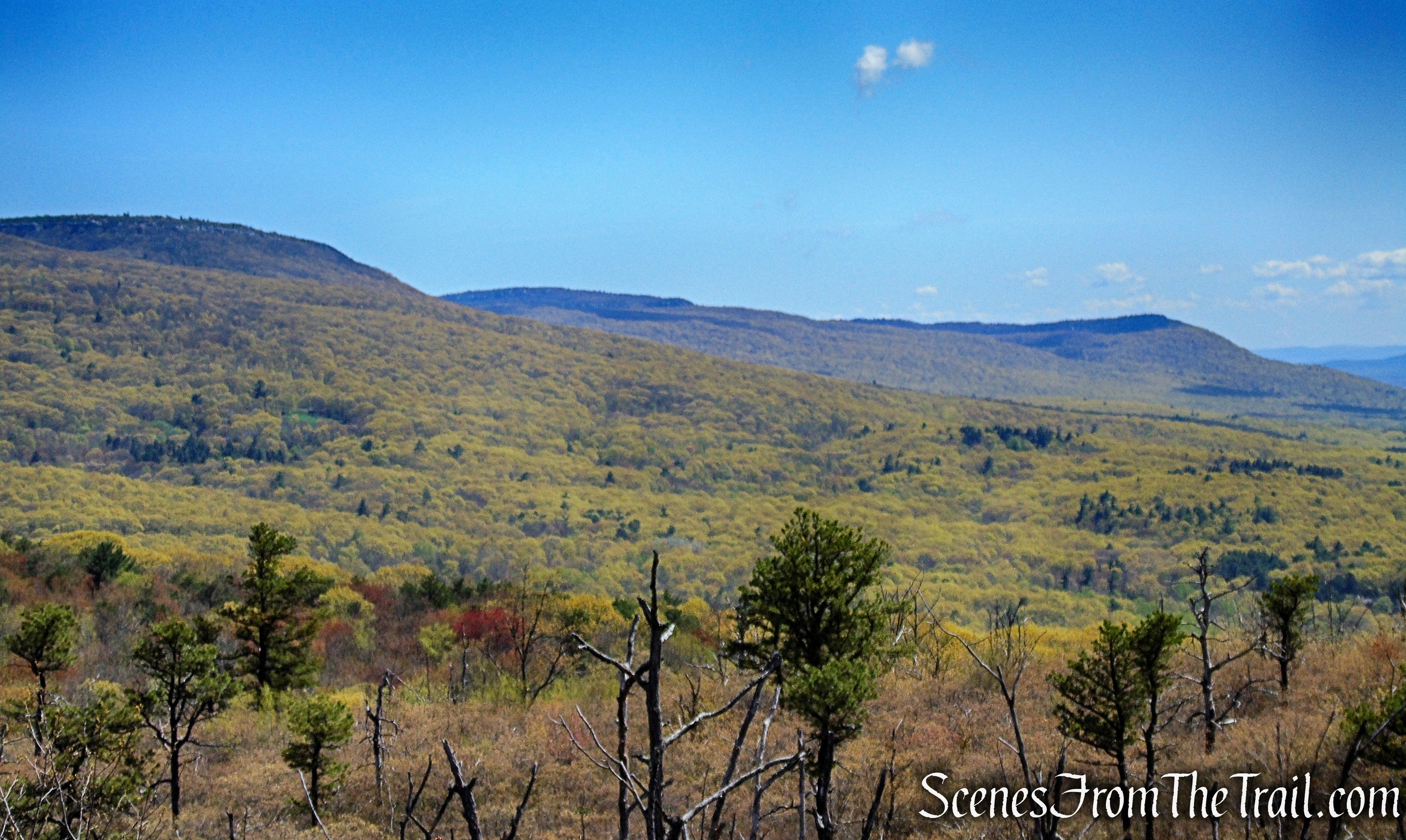 Looking northeast towards Sam's Point and Minnewaska State Park