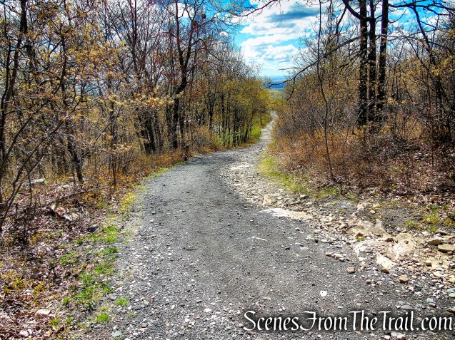 Fire Tower Road - Roosa Gap State Forest