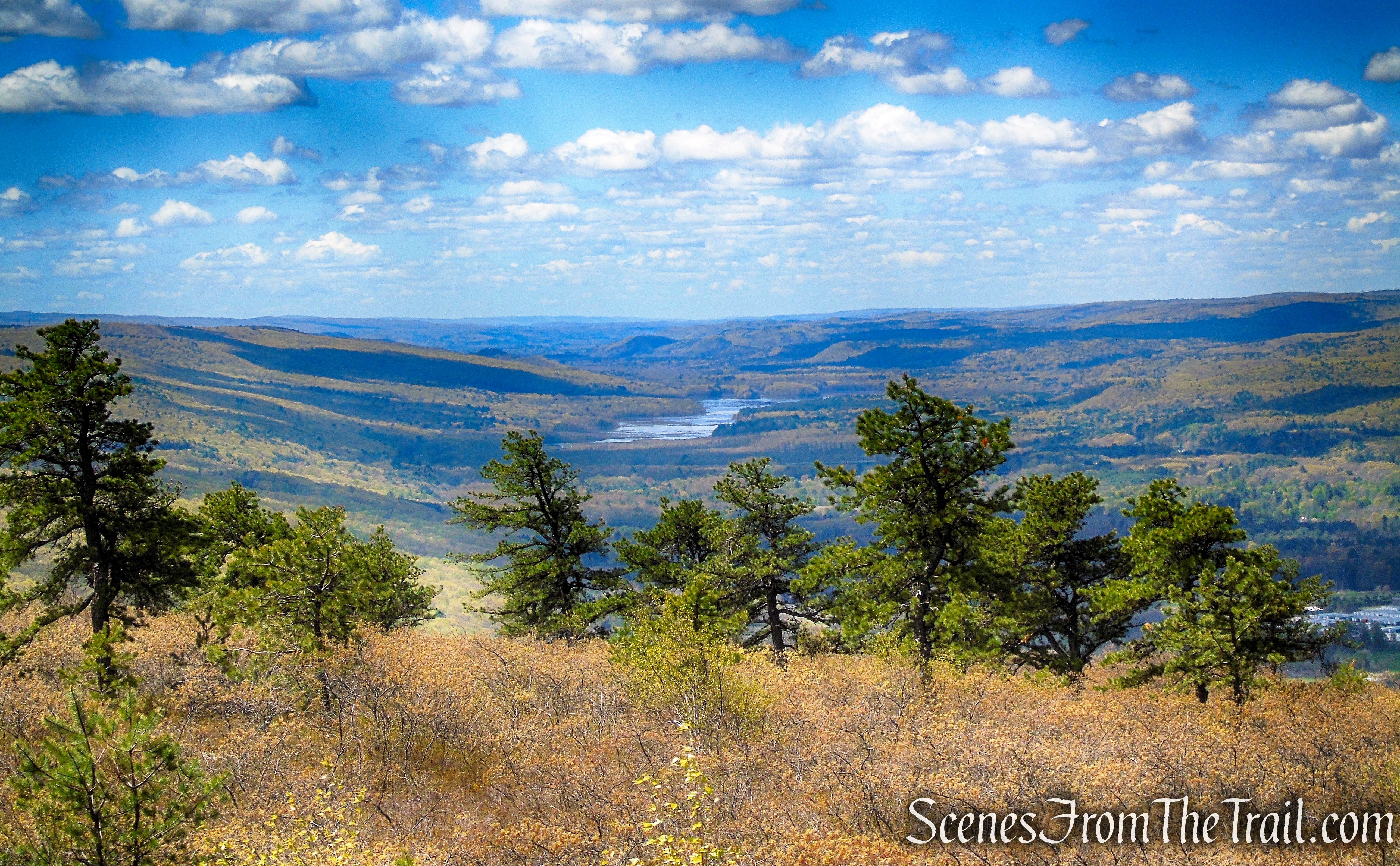Looking south towards the Basha Kill from the Roosa Gap Fire Tower