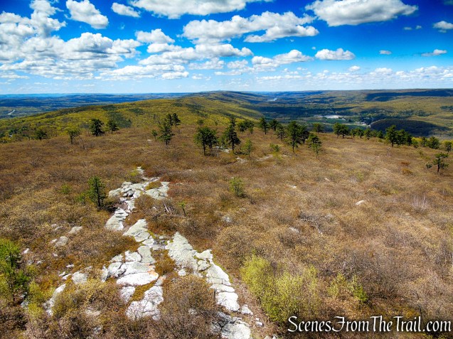 Looking south towards Wurtsboro Ridge State Forest from the Roosa Gap Fire Tower