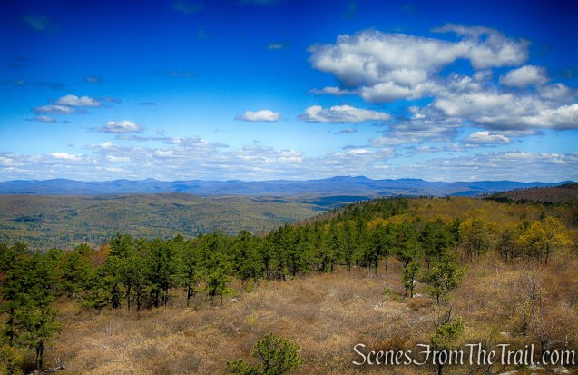 Looking northwest towards the Catskills from the Roosa Gap Fire Tower