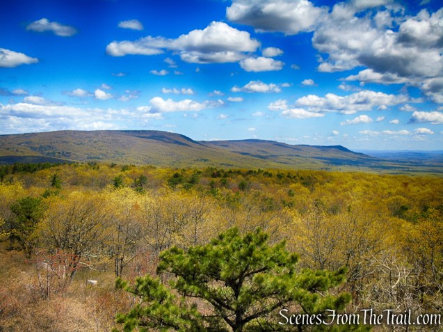 Looking northeast towards Sam's Point and Minnewaska State Park from the Roosa Gap Fire Tower