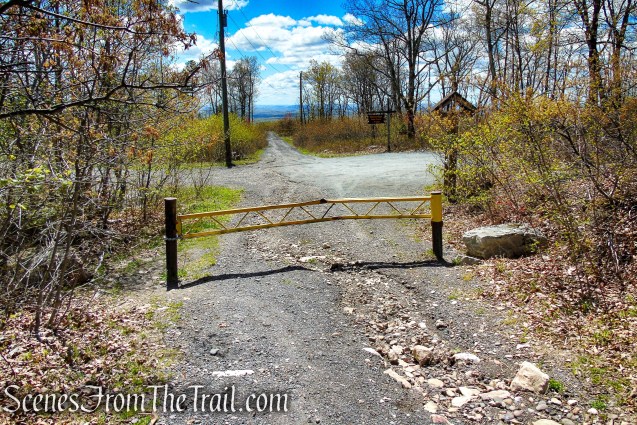 Fire Tower Road - Roosa Gap State Forest