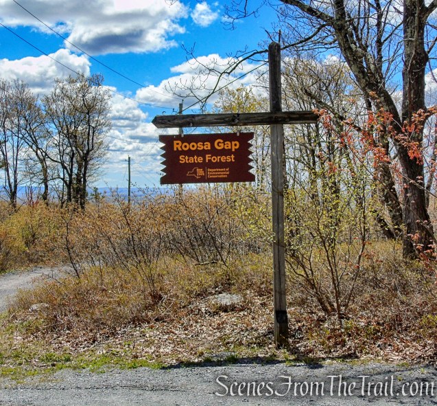 Roosa Gap State Forest