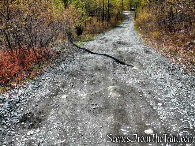 Fire Tower Road - Roosa Gap State Forest