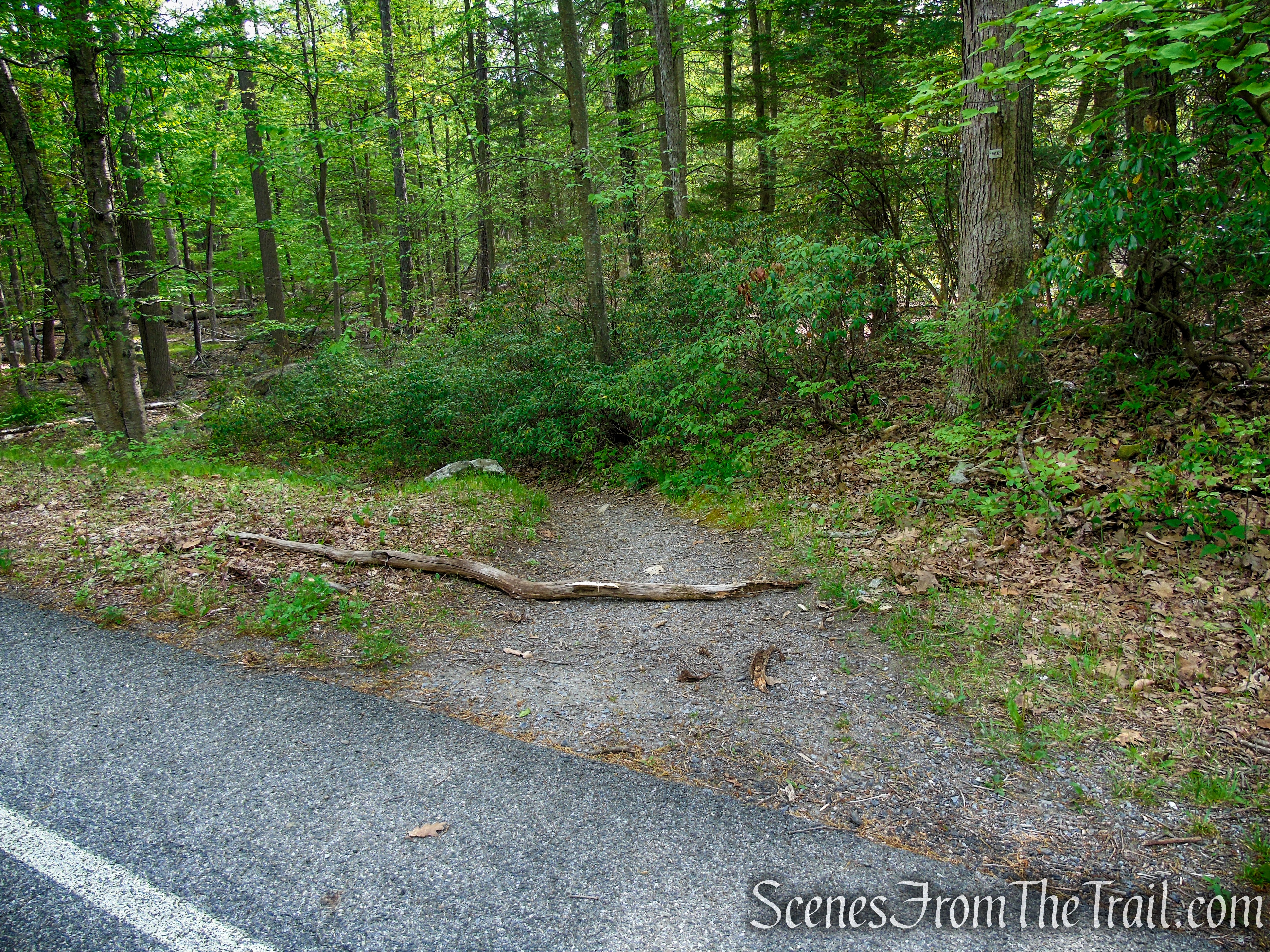White Bar Trail - Harriman State Park