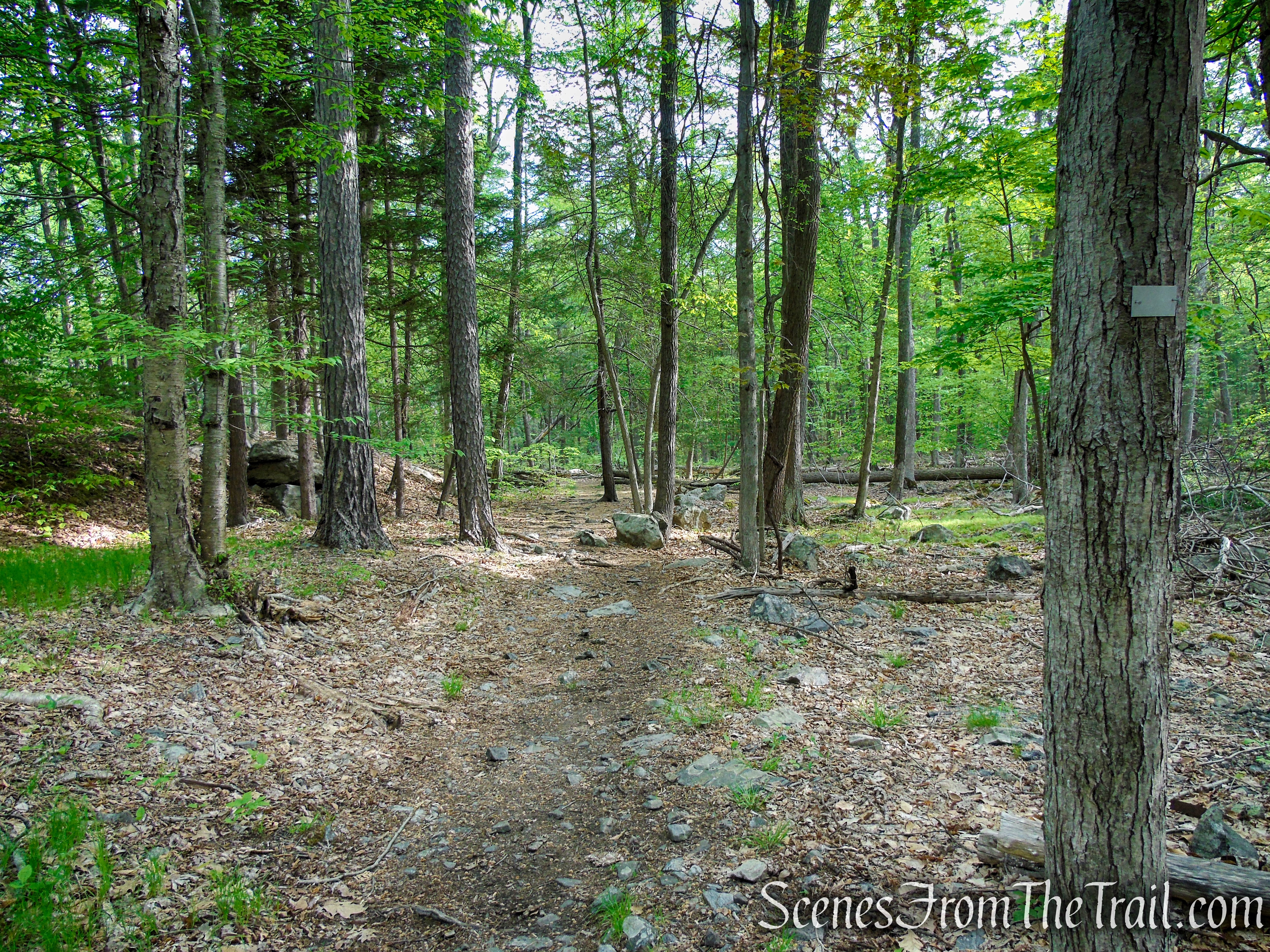 White Bar Trail - Harriman State Park