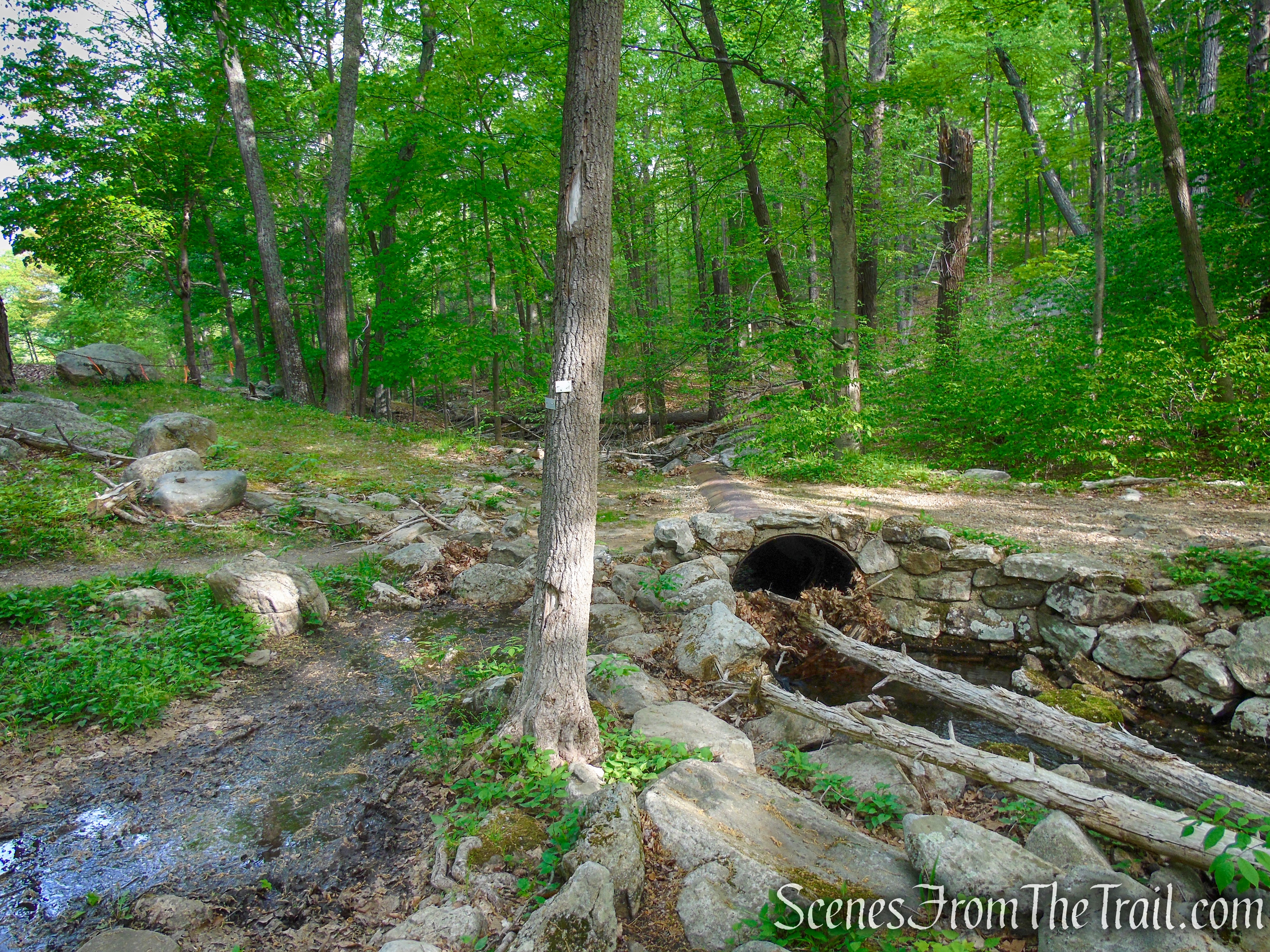 White Bar Trail - Harriman State Park