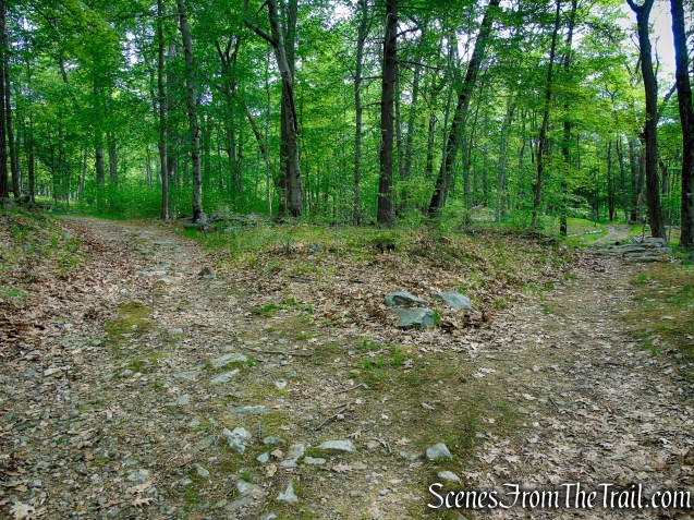 Bear right to remain on the White Bar Trail