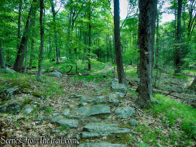 White Bar Trail - Harriman State Park