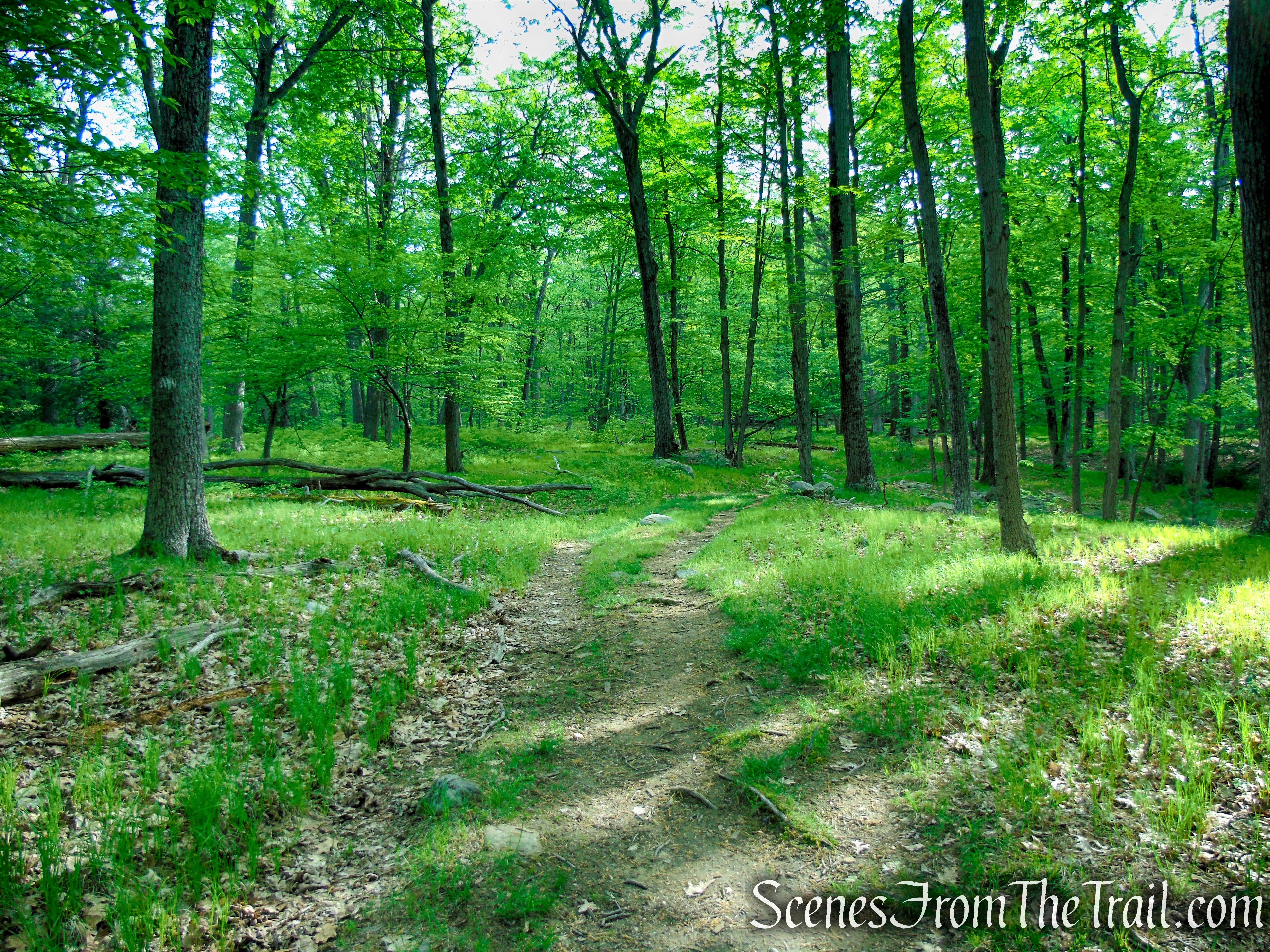 White Bar Trail - Harriman State Park