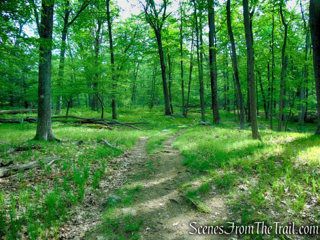 White Bar Trail - Harriman State Park