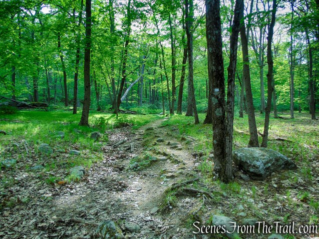 White Bar Trail - Harriman State Park