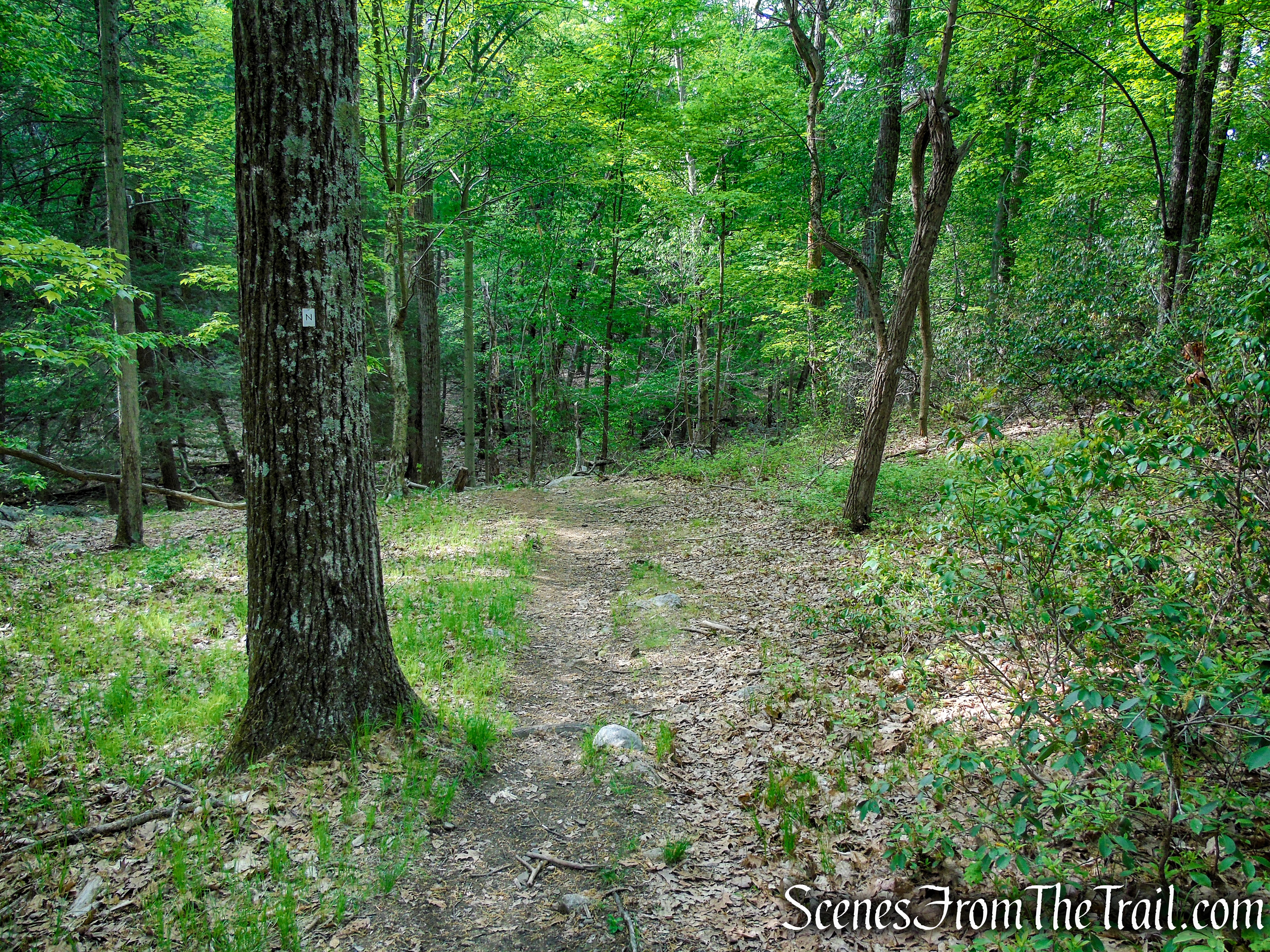 Nurian Trail - Harriman State Park