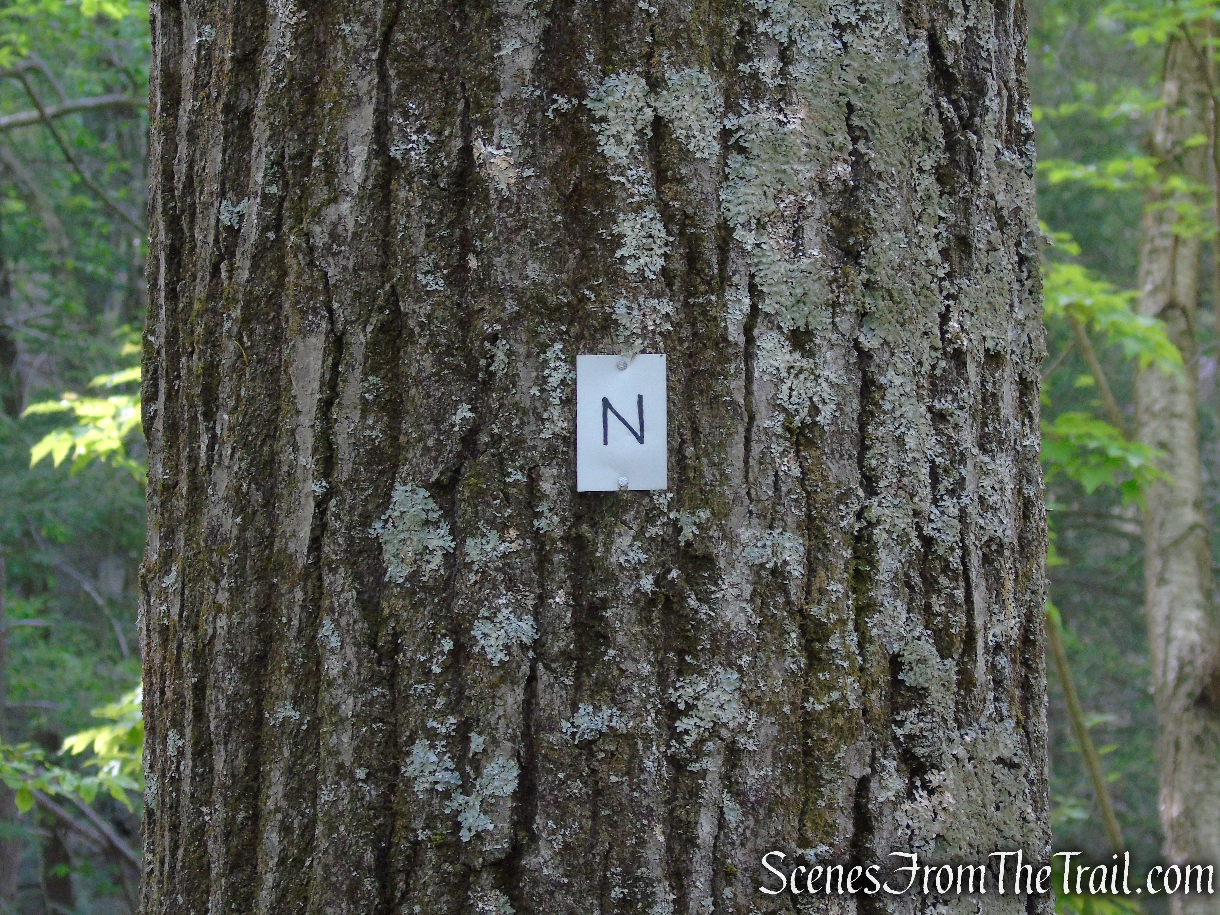 Nurian Trail - Harriman State Park