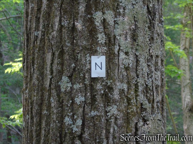 Nurian Trail - Harriman State Park