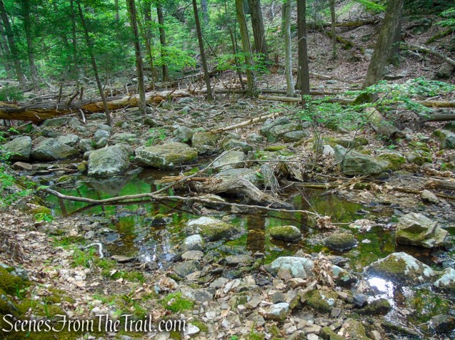 Stream crossing on the Nurian Trail