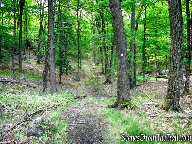 Nurian Trail - Harriman State Park