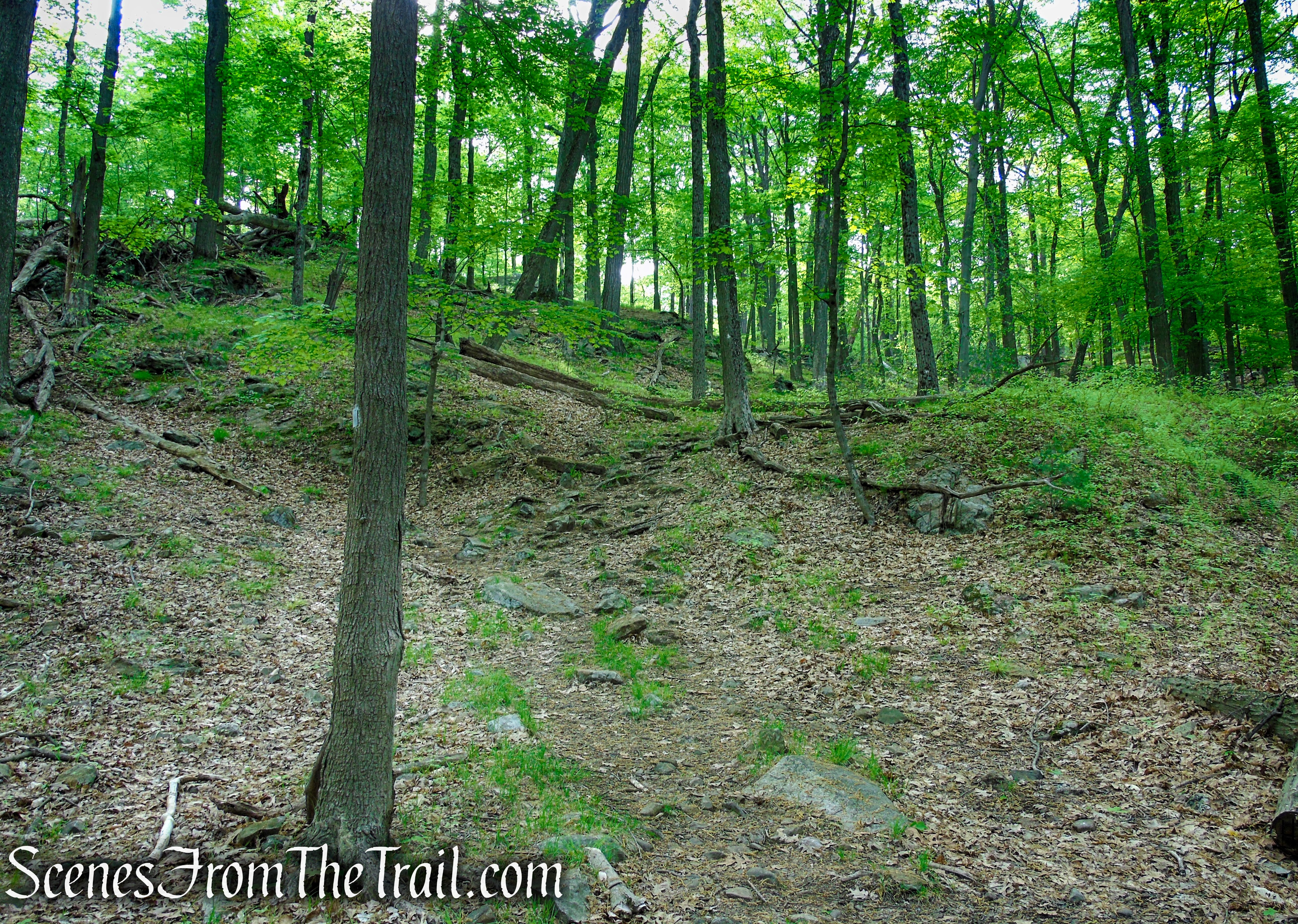 Nurian Trail - Harriman State Park