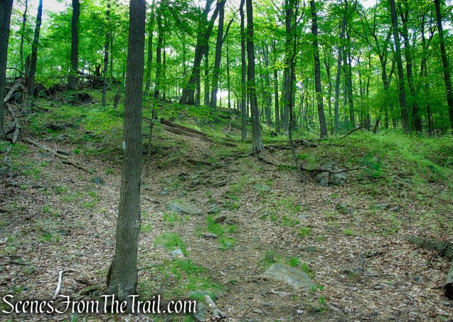 Nurian Trail - Harriman State Park