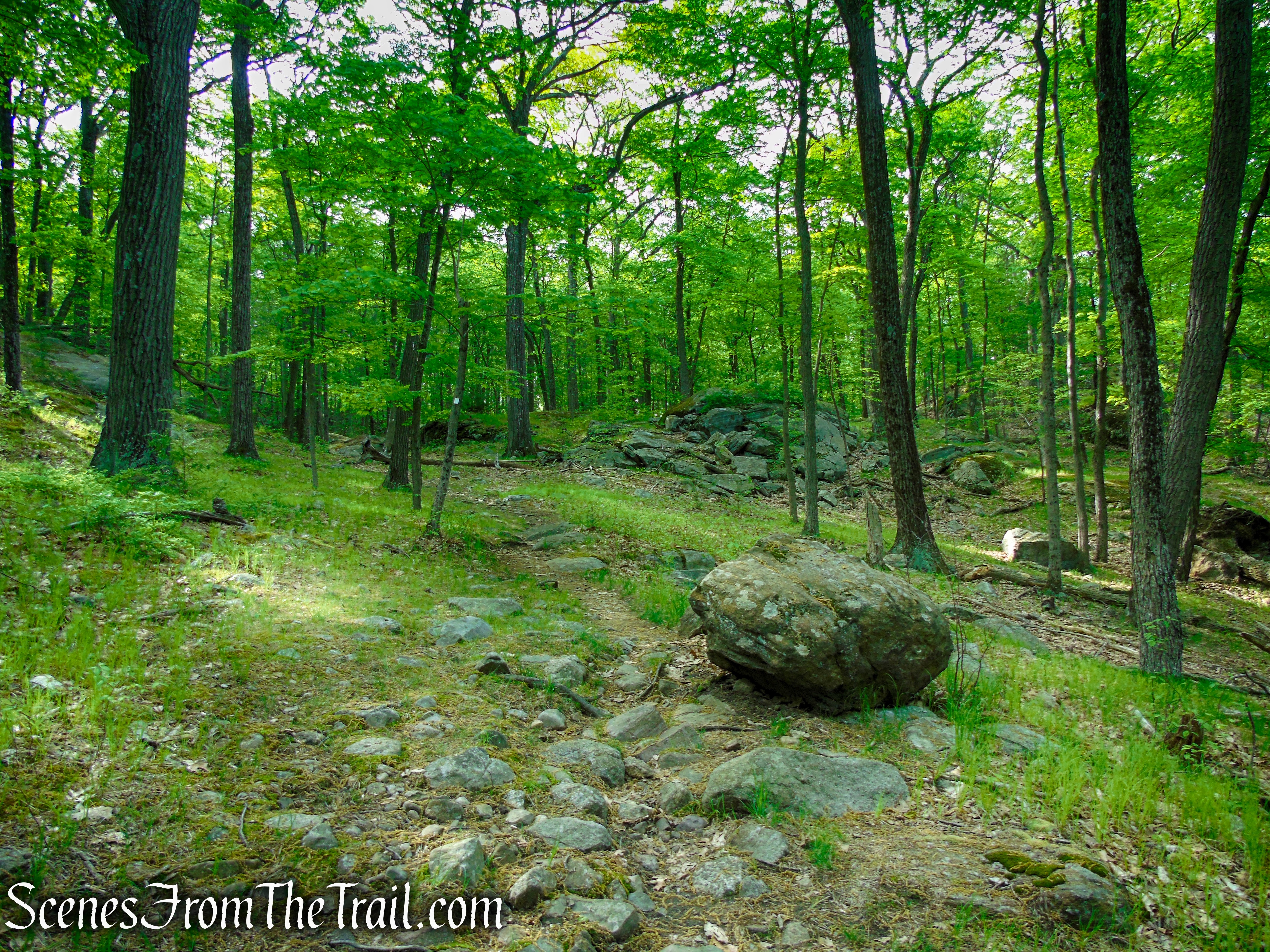 Nurian Trail - Harriman State Park